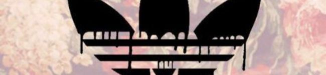 m→re's header image