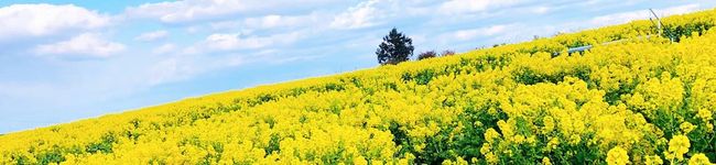 のん♪♪のん's header image
