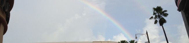 maay2103's header image