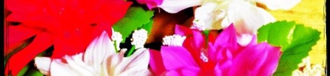 yayumamu's header image