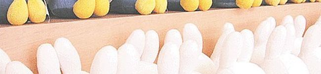 ミッフィー大好きママ's header image