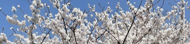 たなさん家's header image