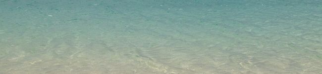 うりごん's header image