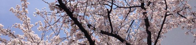 roo7262's header image