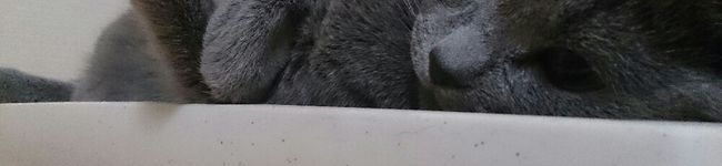 yamapanman's header image