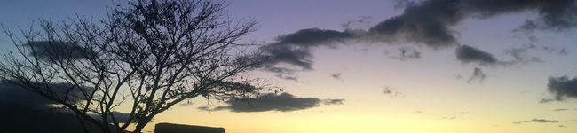 yk_izumi's header image