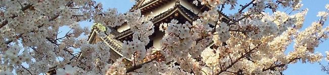 Hana_ppp's header image