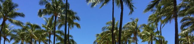 ko_na's header image
