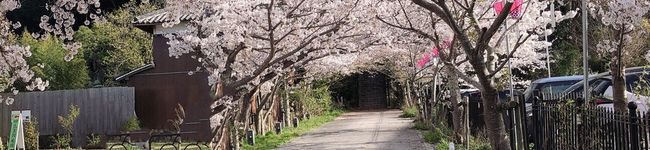 さくらら♡'s header image