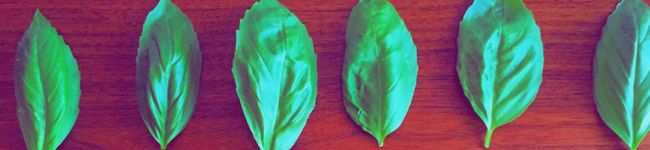 lulu88's header image
