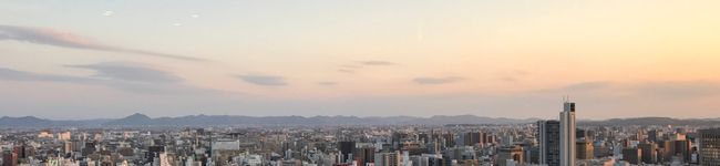 maro__'s header image