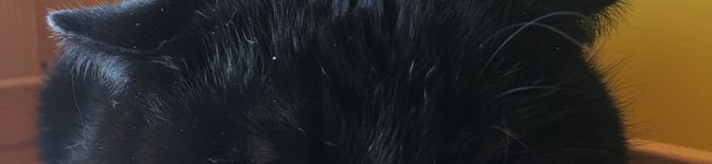 こにゆち's header image