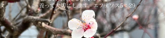 kyoko8759's header image