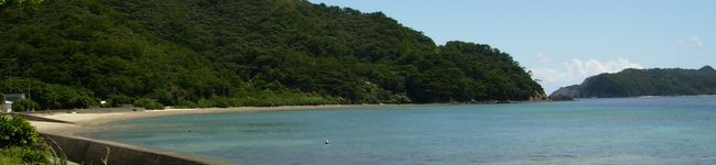 元うづき's header image