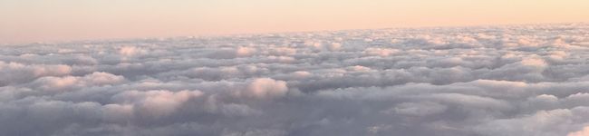 MIYAmanma's header image