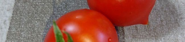 attaka's header image