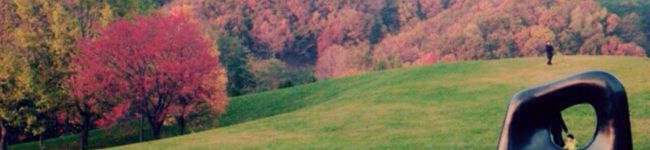 1383937's header image