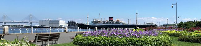 えーりー21's header image