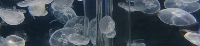 Marieeele's header image