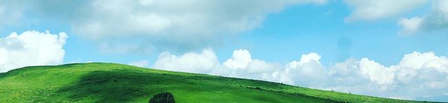 ☆シシマル☆'s header image