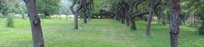 Macika's header image