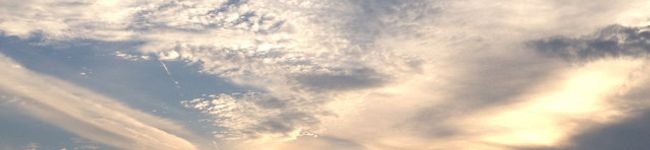 ellatnu's header image