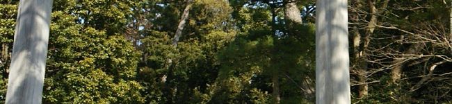 mkyキッチン's header image