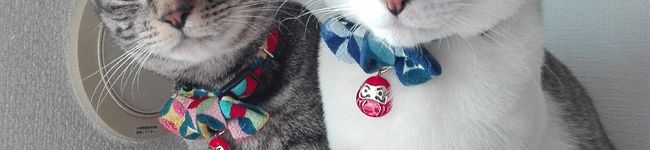 わたなべてむ's header image