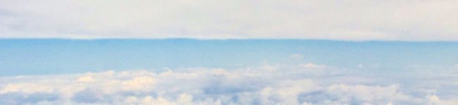 かほしゅがー's header image
