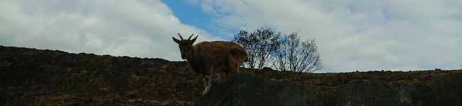 mipo373's header image