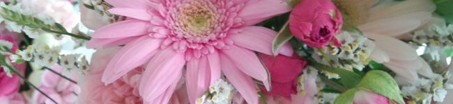 HiroMimir's header image