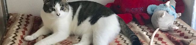 大食いイチロー's header image