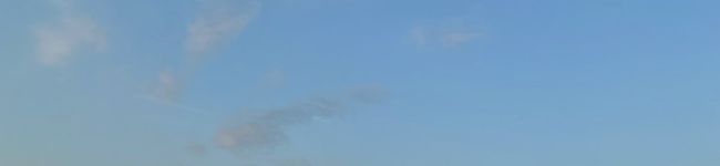 ハナナナりん's header image
