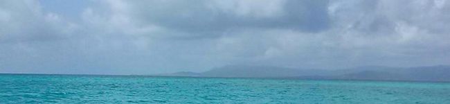 510K's header image