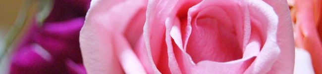 hammy96's header image