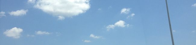 しましまのしか's header image