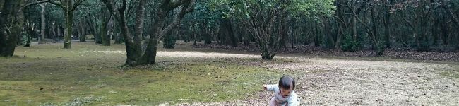 ランラン☆さっちー's header image