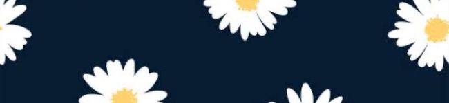フルット's header image