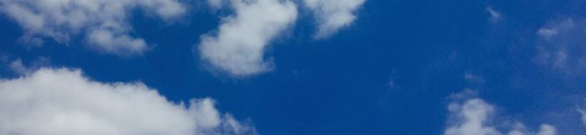 Quincee's header image