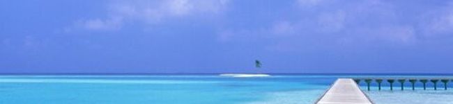 yannosuke's header image