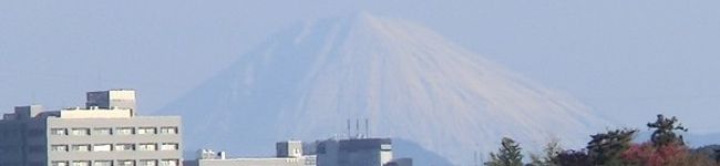 シバチー's header image
