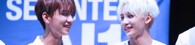 Erina's header image