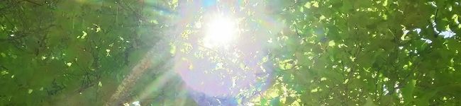 uＬippe's header image