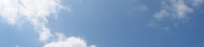 のこっぴ's header image