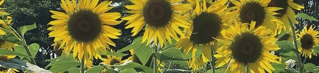 kasiy's header image