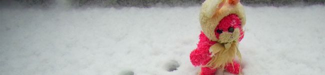 kuma-o's header image