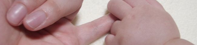 ー柊ー's header image