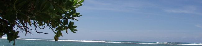 ManoaMom's header image