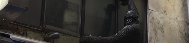 ネアンデルタール鈴木's header image
