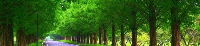 elovenocci's header image